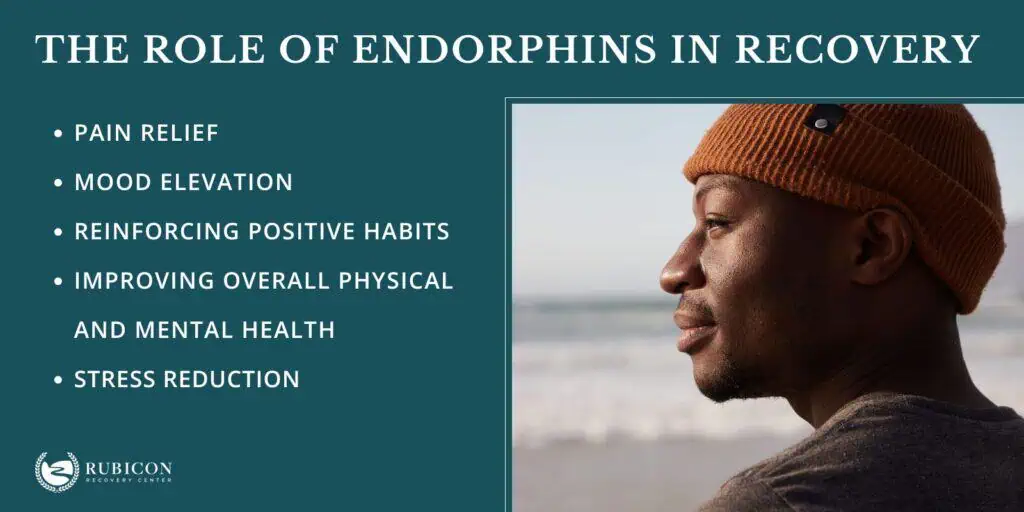 Endorphins: Definition, Functions, Production, Release, Role In ...